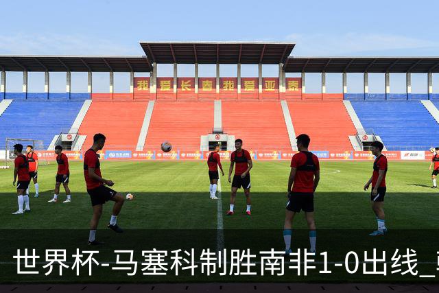 世界杯-马塞科制胜南非1-0出线 韩国积3分获小组第三待定