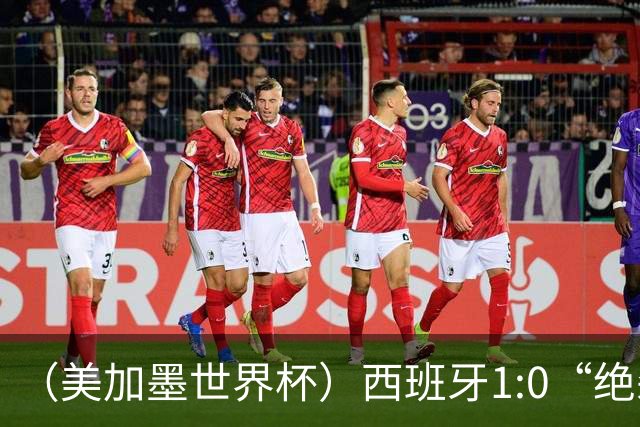 （美加墨世界杯）西班牙1:0“绝杀”葡萄牙 C罗结束世界杯征程
